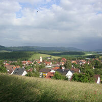 Wellendingen Ost 21 06 2010