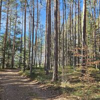 24.4 km Schöner Wald am Schwarzenberg