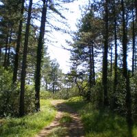 PR serre de grenouillet3 @ Eric Brendle