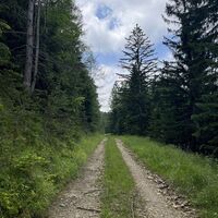 .. auf einem netten Almstraßerl