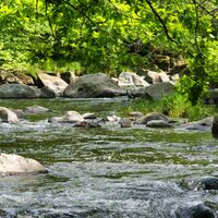 Fluss Chemnitz bei Markersdorf