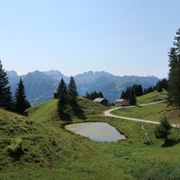 Fulasee