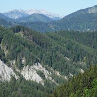 Ausblick am Steig oben