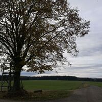 Von Wolfersdorf zur Herzoglichen Grabstätte und zur Herzog-Ernst-Eiche