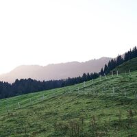Das Lecknertal
