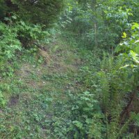 Übergang zum Frankenfelsberg