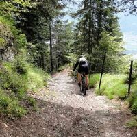 Anspruchsvoller Trail zu Beginn der Abfahrt