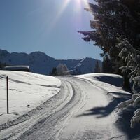 Winterwandern