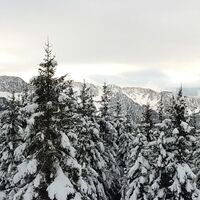 Im Winter auf der Dreieralm, Blick Richtung Süden, Karawanken