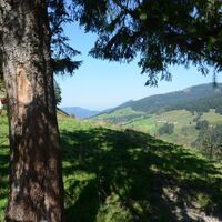 Blick aufs Wandergebiet Spielbergalmen