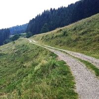 Auffhart zur Hofbaueralm