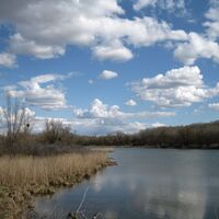 Nationalpark Donauauen