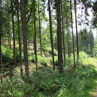 Weg zum Mießgraben