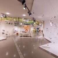 Ausstellung Wildnis(t)räume
