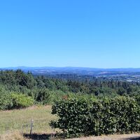 Blick zum Bayerwald mit Gr. Rachel und Lusen