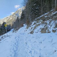 Querung der Forststraße