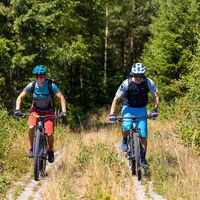 Mit Vorsicht zu genießen: die Löcher des Kolonnenweges