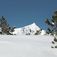 Winterwandern auf der Planneralm