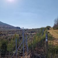 Klippenweg, BestWeg Andreasberg