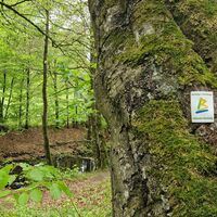 Bestwiger BestWeg Velmede-Bestwig