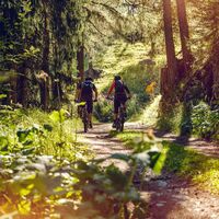 Mountainbikers in der nähe von Bürchen