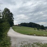 Ab hier dann ist die Ochsenburger Hütte bereits in Sichtweite!