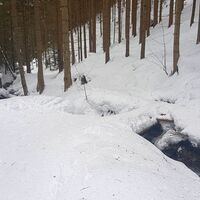 Bachüberquerungen am Wanderweg
