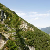 von der Hochfläche etwas mühsam dem Steig Richtung First folgen