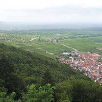 Ausblick Madenburg Richtung Rheinebene