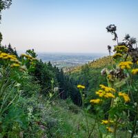 um den kapuner – oder die hausberg-umrundung_img_53304099