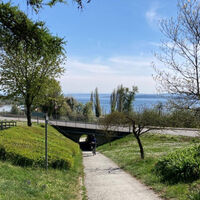 Weg zum See