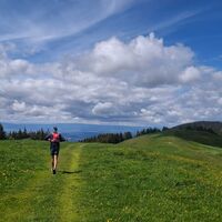Gratlinie – Auf dem Rücken des Schwyberg Trailrun