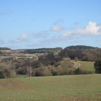 IMG_7191