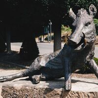 Der Hardenberg