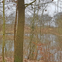 Blick auf den Oereler See durch das Geäst