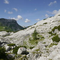 Blick zum Wildgößl