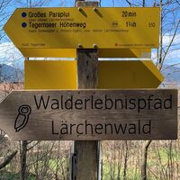 Walderlebnispfad Lärchenwald Tegernsee