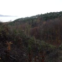 Abstieg am unmarkierten Steig