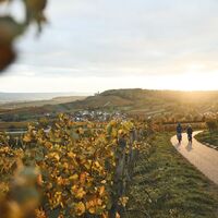 Zweifelberg Radfahren_HeilbronnerLand__Stefan Leitner_Oktober 2024_web