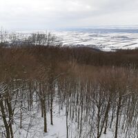 Leopold Figl Warte im Winter
