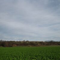 Fels - Absdorf