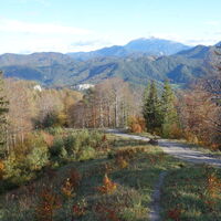 Abstiegvon der Gschwendhütte
