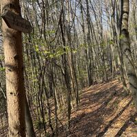 Dieses Stück ist auf der OSM nicht eingezeichnet (nur gepunktelt auf der OEK), obzwar Wegweiser sichtbar sind. Der Berichterstatter hat dieses kurze Stückerl manuell im Track ergänzt (best effort!)