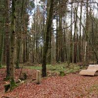 Wander-Rastplatz im Benzer Holz