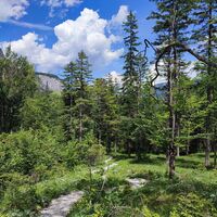 Wanderweg unterhalb des Poppensand und den Latschen