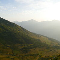 Blick ins Hirschkar