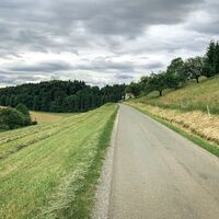 schilcherland - rebenland – ein perspektivenwechsel_img_50131853
