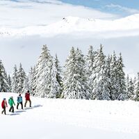 Winterwandern Lenzerheide