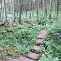 Im Schweinbachtal