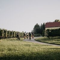 RADELIKAT Weingut Peiserhof
